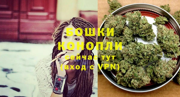 spice Вяземский