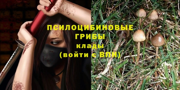 spice Вяземский