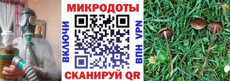 Галлюциногенные грибы Psilocybe  продажа наркотиков  Дубна 